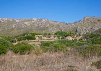 Colònia de Sant Pere - Auf der Straße Richtung Betlem Mallorca