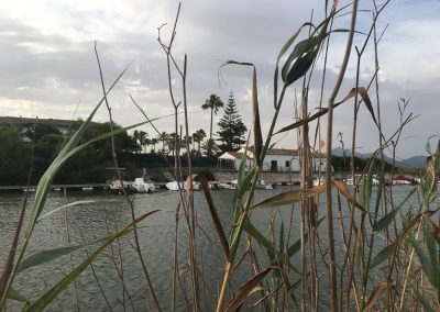 Playa de Muro - Mallorca