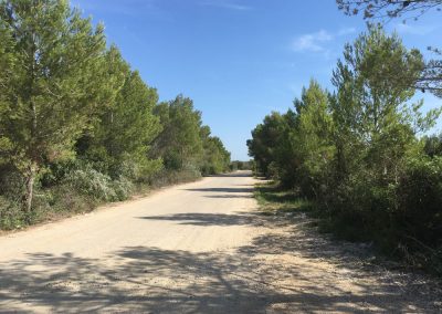 Port-d-Alcudia-auf-dem-Weg-zu-Europcar - Mallorca