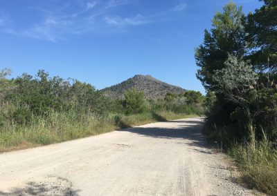 Port-d-Alcudia-auf-dem-Weg-zu-Europcar - Mallorca