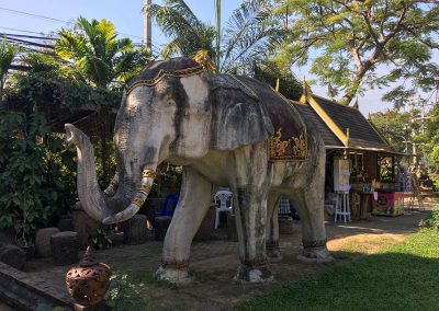 Chiang Mai - Wat Lok Molee - Elefant