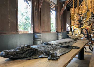 Chiang Rai Black House/Baandam - Krokodil