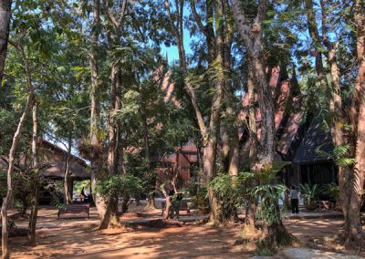 Chiang Rai Black House/Baandam - Gartenanlage