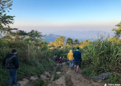 Phu Chi Fa - Abstieg vom Berg, 7:15 Uhr