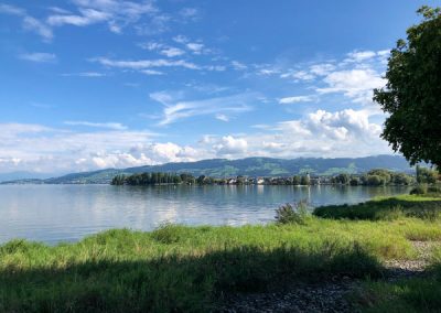 Blick auf Steinach Bodensee Radtour
