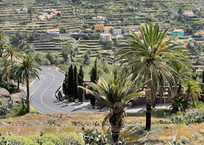 Wandern auf La Gomera: Rundwanderung El Guro - La Vizcaina: Blick auf den Friedhof