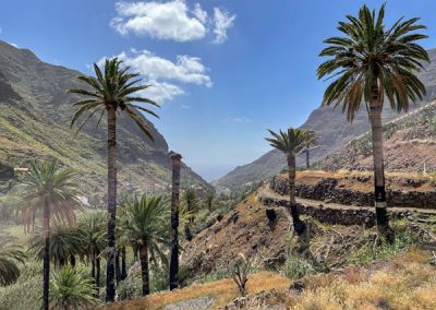 Wandern auf La Gomera: Rundwanderung El Guro - La Vizcaina: Der Weg neben der Hauptstraße