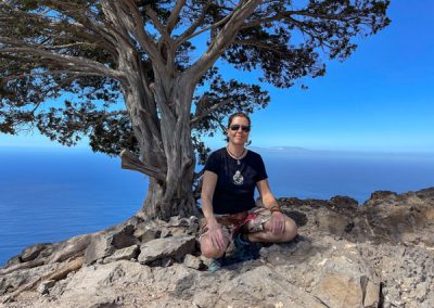 Baum am Rande eines hohen Felsens, dahinter geht es steil nach unten