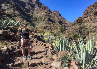 Felsige trockene Landschaft mit Kakteen