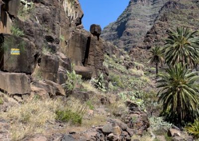 Felsige trockene Landschaft mit Kakteen und einer Steinskulptur am Felsen