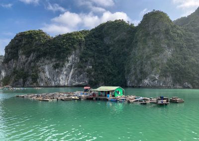 Austernfarm in der Halong-Bucht