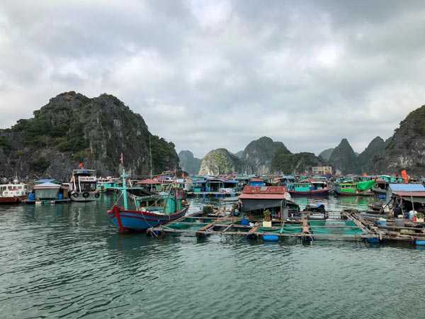 3 Tage Bootstour durch die Halong-Bucht