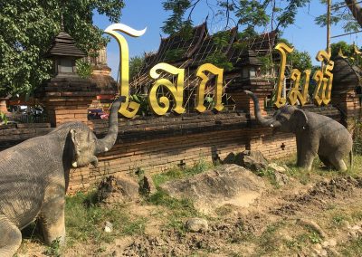Chiang Mai - Wat Lok Molee - Elefanten außen vor der Mauer