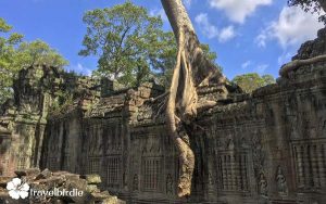 Siem Reap - Angkor - Preah Khan