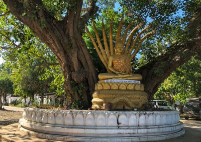 Buddha-Statue mit neunköpfiger Schlange auf dem Tempelgelände Wat Aham in Luang Prabang