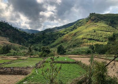 Reisfelder umgeben von grünen Hügeln