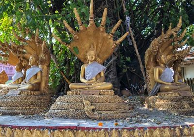 Wat That Luang Tai - Buddha-Statuen mit Naga