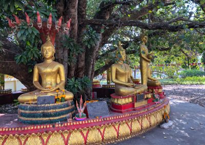 Buddha-Statuen am Wat That Luang North