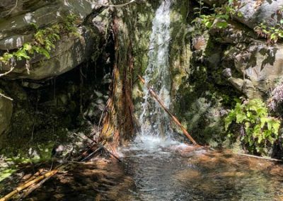 Kleiner Wasserfall von Pflanzen und Felsen umgeben