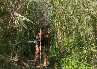 Silke Vogel geht einen Weg durch Bambuspflanzen