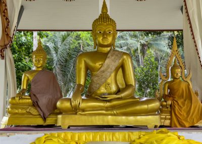 Wat Maduea Wan auf Ko Phangan - Buddha-Statuen auf dem Gelände