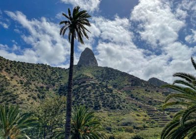 Blick auf den Berg mit einer Palme davor